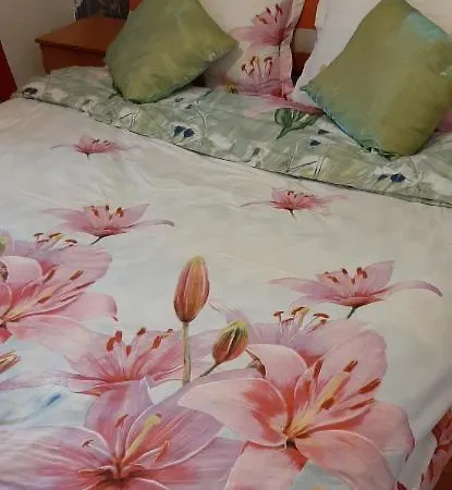 G&v Luxury Drumul Taberei Daire Bükreş